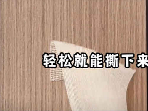 õ˫沼˺